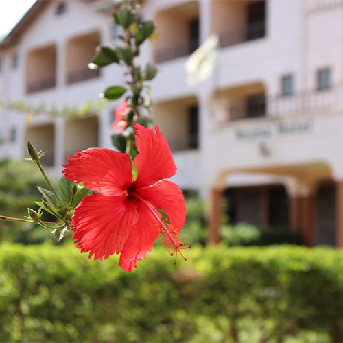 gallery-home-reyna-hotel-2